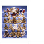 A collection of Steiff bears by Anonymous