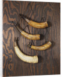 A collection of engraved powder horns by Anonymous