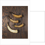 A collection of engraved powder horns by Anonymous