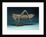 A grasshopper weathervane by Anonymous