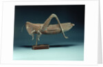 A grasshopper weathervane by Anonymous