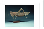A grasshopper weathervane by Anonymous