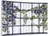 Tiffany Studios 'Clematis' leaded glass three-sectioned skylight by Anonymous