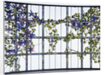 Tiffany Studios 'Clematis' leaded glass three-sectioned skylight by Anonymous