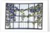 Tiffany Studios 'Clematis' leaded glass three-sectioned skylight by Anonymous