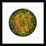 Tiffany Studios lighted shade of a fine alamander leaded glass and bronze vhandelier by Anonymous