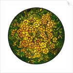 Tiffany Studios lighted shade of a fine alamander leaded glass and bronze vhandelier by Anonymous