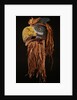 A Kwakiutl Thunderbird Mask of red cedar by Anonymous