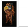 A Kwakiutl Thunderbird Mask of red cedar by Anonymous