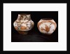 Two Zia polychrome jars by Anonymous