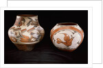Two Zia polychrome jars by Anonymous
