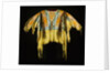 A Southern Cheyenne quilled and fringed hide warrior's shirt by Anonymous