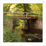 A Forest Stream with a Wooden Bridge by Marcus Bech Fritz