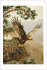 Golden Eagle with Young, Aviemore by John Cyril Harrison