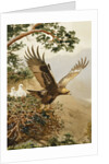 Golden Eagle with Young, Aviemore by John Cyril Harrison