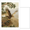 Golden Eagle with Young, Aviemore by John Cyril Harrison