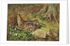 A Woodcock and Chicks by Archibald Thorburn