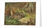 A Woodcock and Chicks by Archibald Thorburn