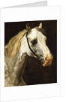 Head of a Piebald Horse attributed to Theodore Jean Louis Gericault by Anonymous
