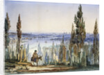 Constantinople from Eyub by Amadeo Preziosi