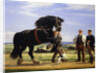 The Black Stallion by Rasmus Christiansen