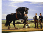 The Black Stallion by Rasmus Christiansen