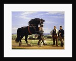 The Black Stallion by Rasmus Christiansen