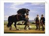 The Black Stallion by Rasmus Christiansen