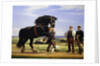 The Black Stallion by Rasmus Christiansen