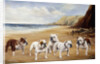 Bulldogs on a Beach by Reuben Ward Binks