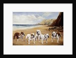 Bulldogs on a Beach by Reuben Ward Binks