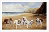 Bulldogs on a Beach by Reuben Ward Binks