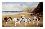 Bulldogs on a Beach by Reuben Ward Binks