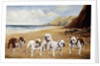 Bulldogs on a Beach by Reuben Ward Binks