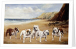 Bulldogs on a Beach by Reuben Ward Binks
