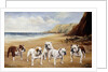 Bulldogs on a Beach by Reuben Ward Binks