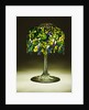 Tiffany Studios 'Grape' leaded glass and bronze table lamp by Anonymous