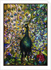 Tiffany Studios 'Peacock' leaded glass domestic window by Anonymous