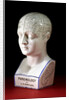 A porcelain phrenology head by L.N Fowler