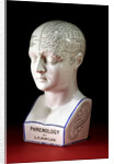 A porcelain phrenology head by L.N Fowler