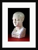 A porcelain phrenology head by L.N Fowler