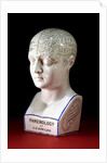 A porcelain phrenology head by L.N Fowler