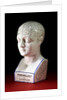 A porcelain phrenology head by L.N Fowler