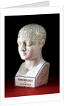 A porcelain phrenology head by L.N Fowler