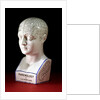 A porcelain phrenology head by L.N Fowler