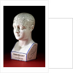 A porcelain phrenology head by L.N Fowler