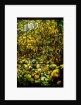 Tiffany Studios leaded glass window of a woodland scene by Anonymous