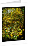 Tiffany Studios leaded glass window of a woodland scene by Anonymous