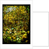 Tiffany Studios leaded glass window of a woodland scene by Anonymous