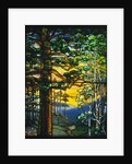 Tiffany Studios landscape window depicting a meandering stream shaded by towering fir trees by Anonymous